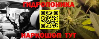 спиды Волгодонск
