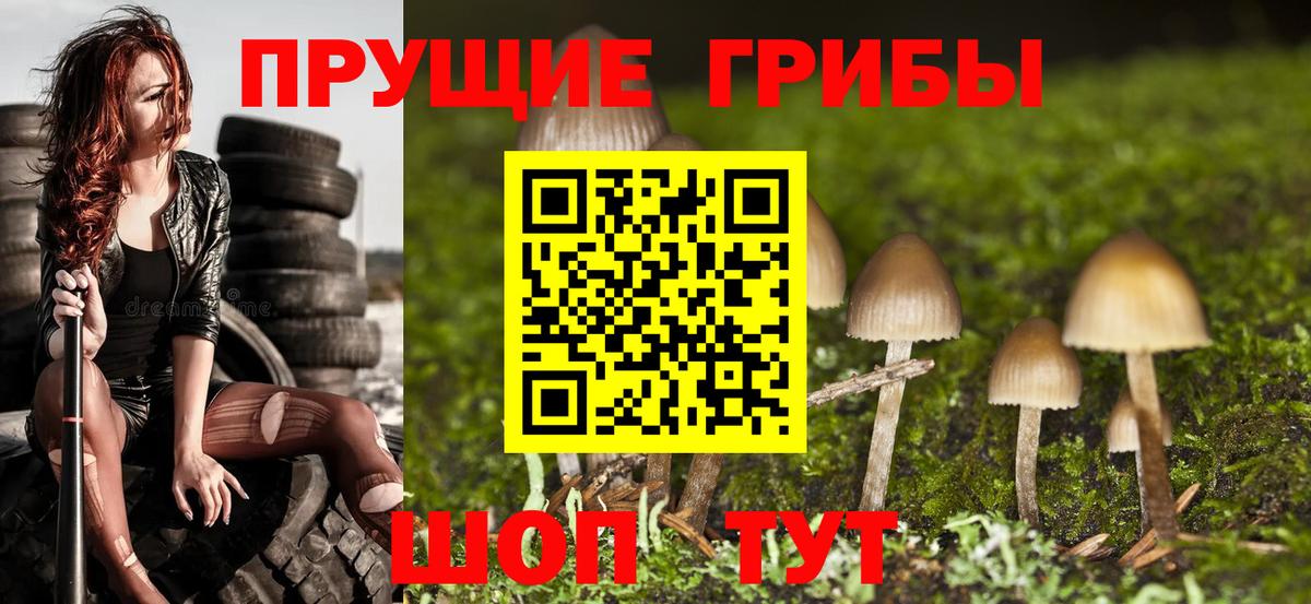 Новый Уренгой  Галлюциногенные грибы MAGIC MUSHROOMS  Псилоцибиновые грибы GOLDEN TEACHER  купить наркотик  Вход с VPN 